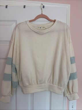 Lizard Thicket Cream Pullover with Dusty Blue Sleeve Stripes